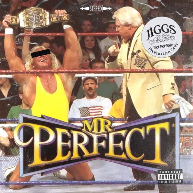 Mr. Perfect cover art
