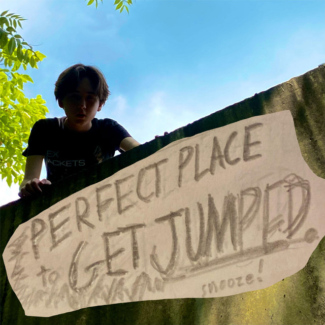 Perfect Place to Get Jumped cover art