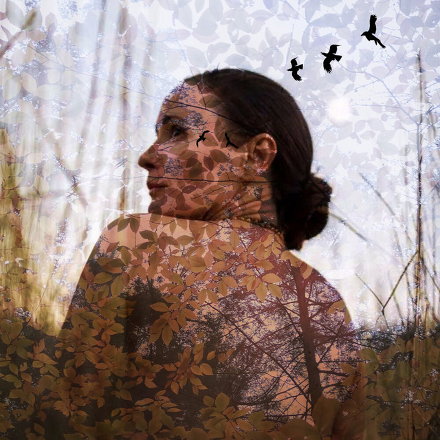 Here Comes the Rain album image