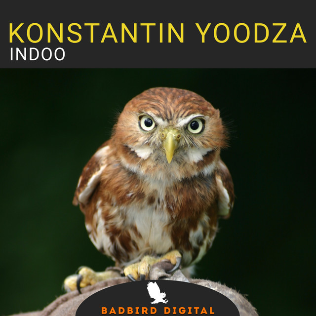 Обкладинка Konstantin Yoodza — Indoo