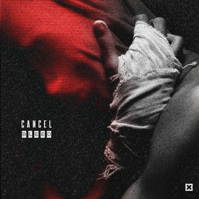 Bleed album art