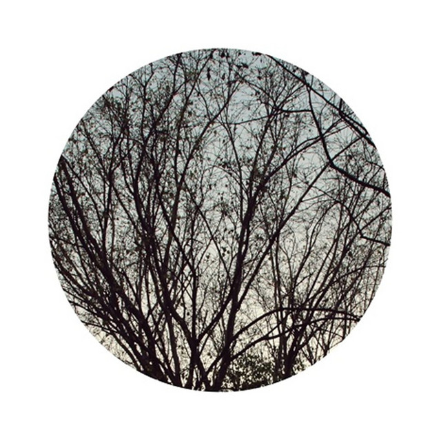 In Between Dreams cover art