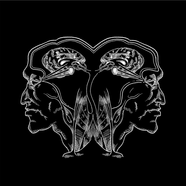 Vitruvian cover art