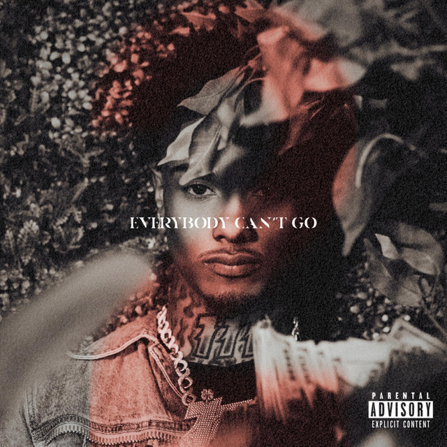 Everybody Cant Go 2 cover art
