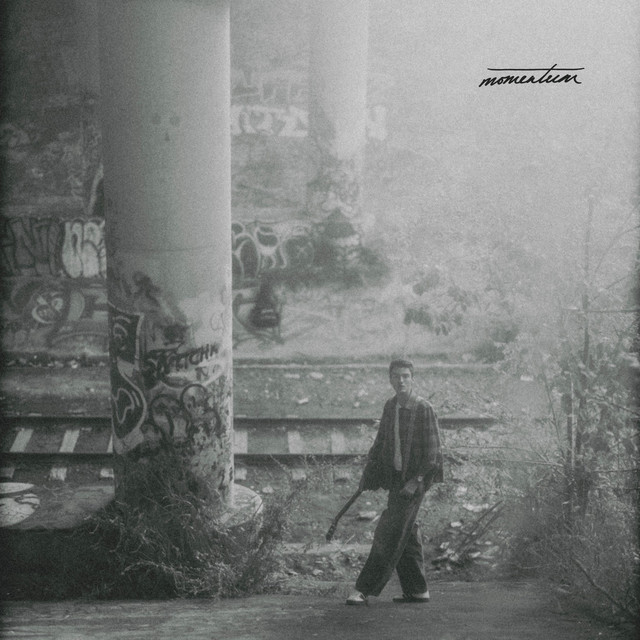 momentum cover