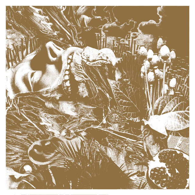 Divine Swelling cover art