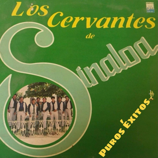 Puros Exitos cover art
