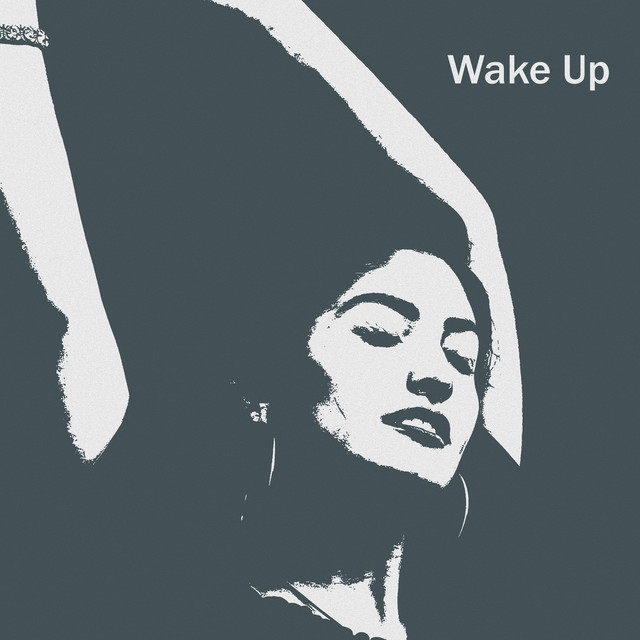 Обкладинка: Wake Up — Зізенко Микола Сергійович