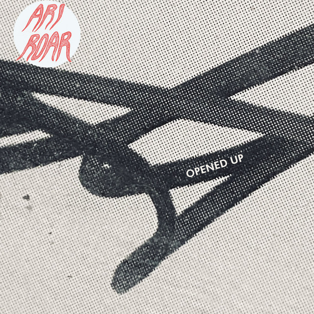 Opened Up cover art
