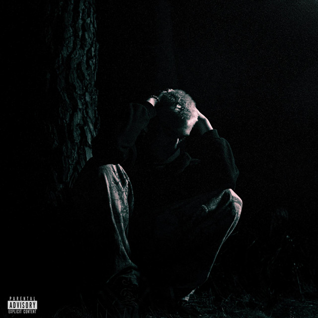 Newcomer cover art
