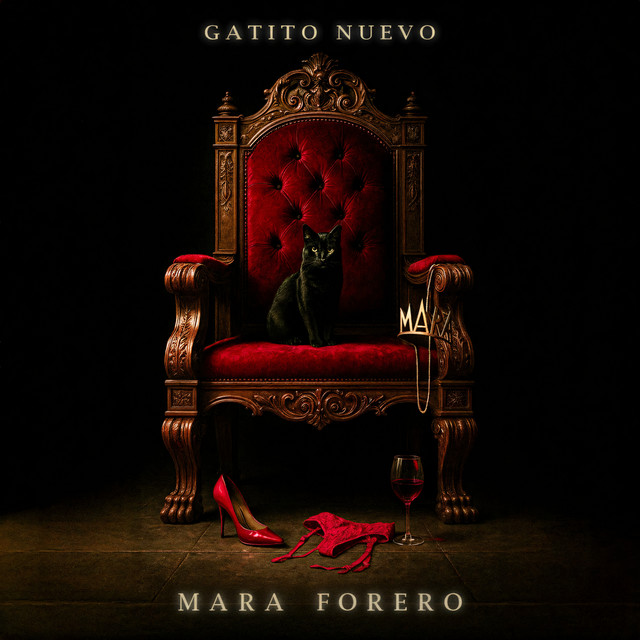 Gatito Nuevo