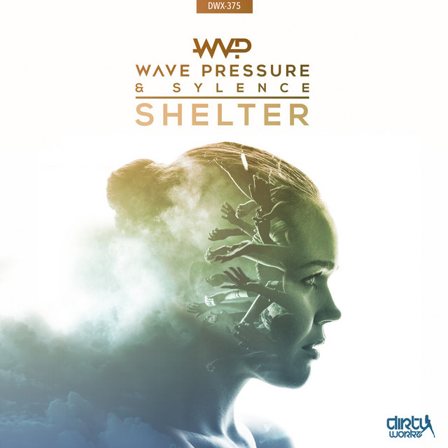 Shelter - Extended Mix album art