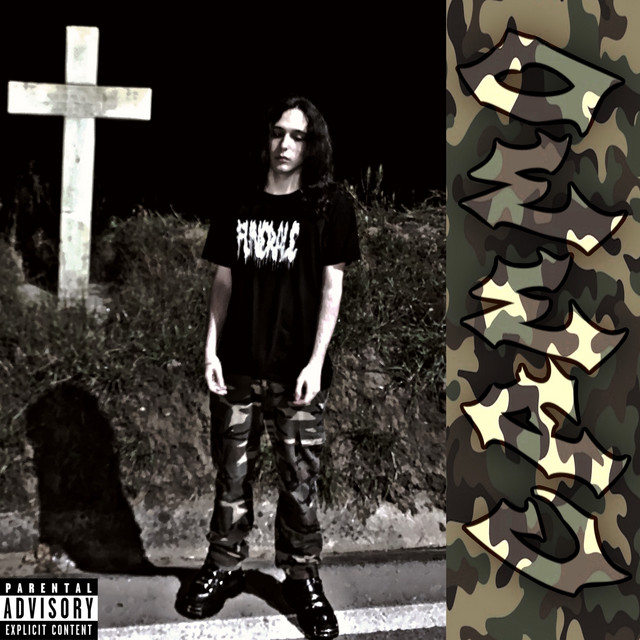 Cammo cover art