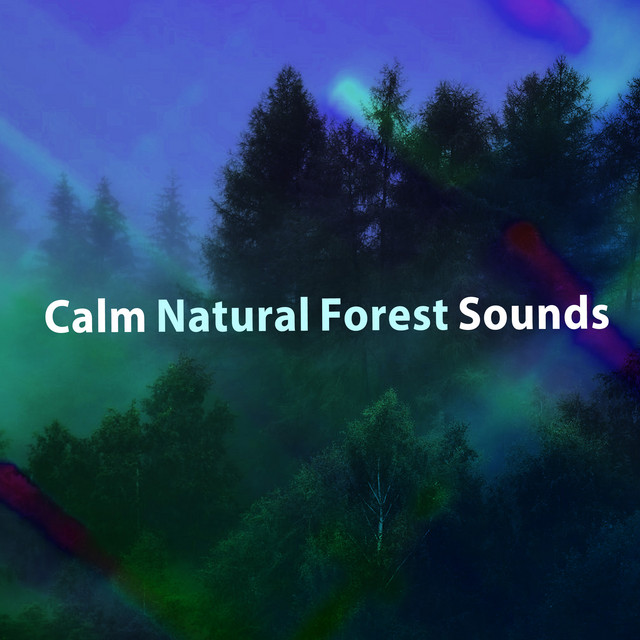 Calm Natural Forest Sounds - Album by Música de la Naturaleza | Spotify