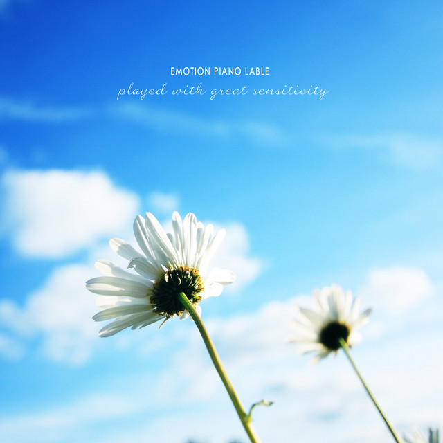 산들 Photo