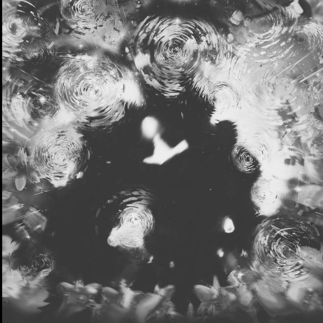 Lucid cover