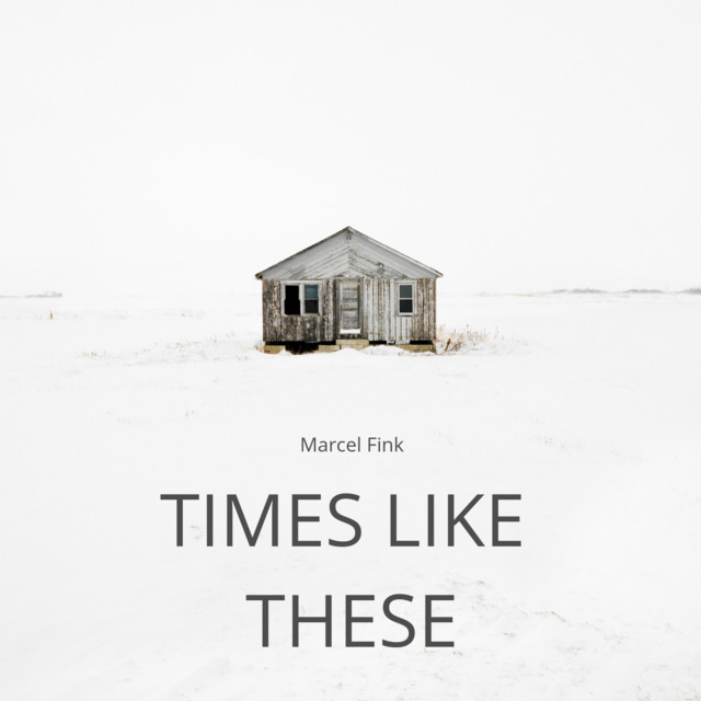 Times Like These cover