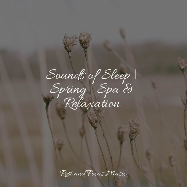 Sounds of Sleep | Spring | Spa & Relaxation - Album by Nature Sounds ...