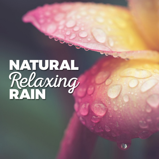 Natural Relaxing Rain cover art
