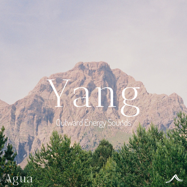 Yang cover art