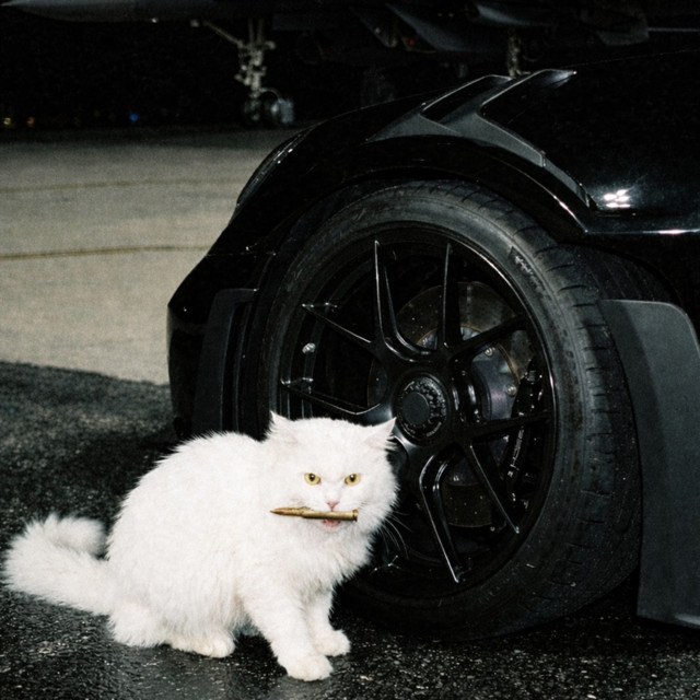 undefined album image