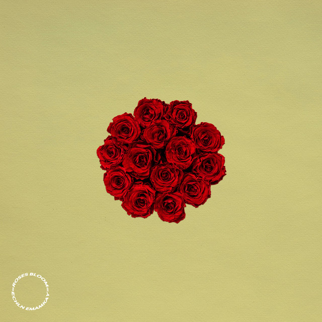 Roses Bloom
