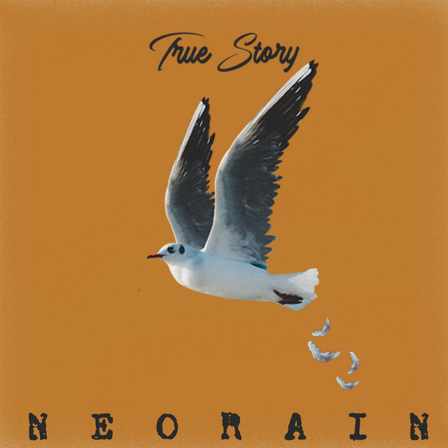 True Story cover art