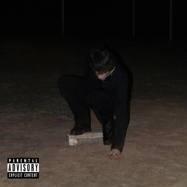 fallen star cover art
