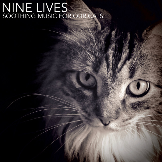Nine Lives (Soothing Music for Our Cats) cover art