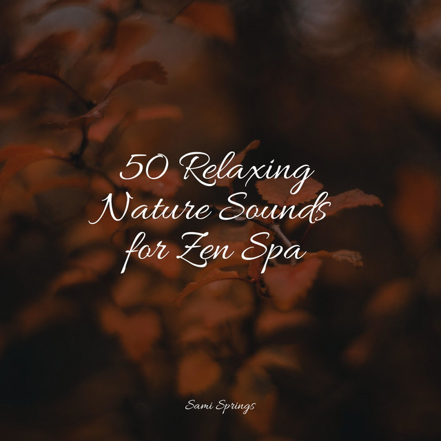 50 Relaxing Nature Sounds for Zen Spa - Album by Water Soundscapes ...