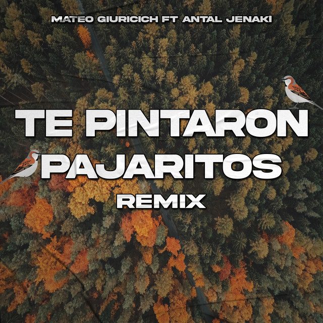 Te Pintaron Pajaritos (Remix)