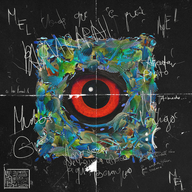 El Barranquero Intruso cover art