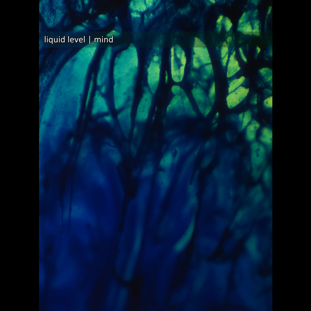Mind cover