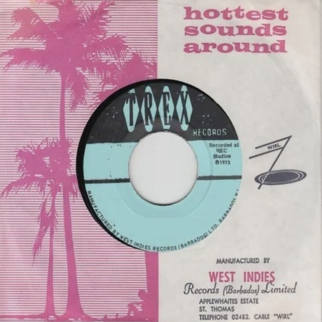The Hottest Sounds Around: The Best of Trex Records, Vol. 5 cover