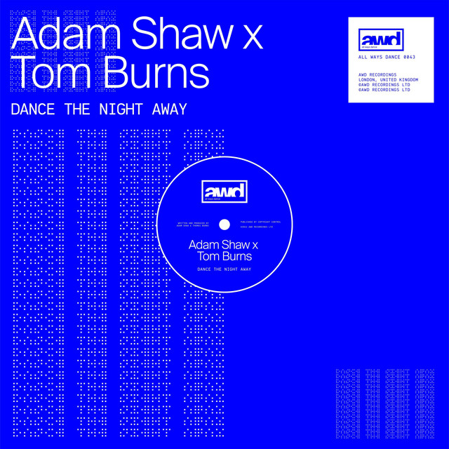 Dance The Night Away - Extended Mix album art
