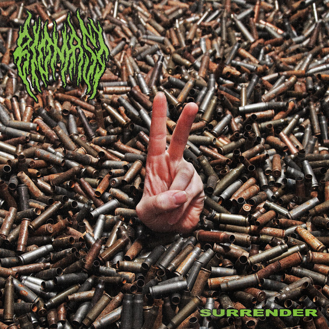 Surrender cover art