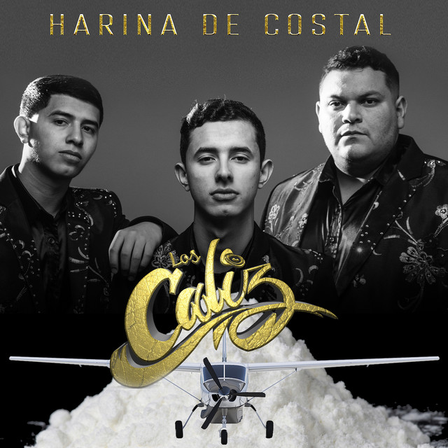 Harina de Costal