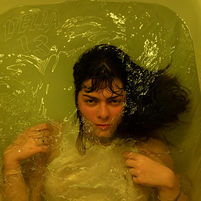 13 cover art