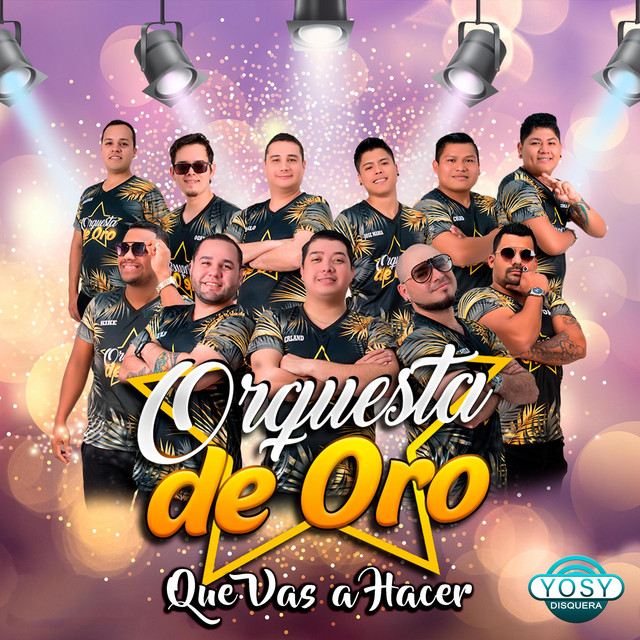 Que Vas a Hacer cover art