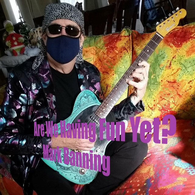 Are We Having Fun Yet? cover