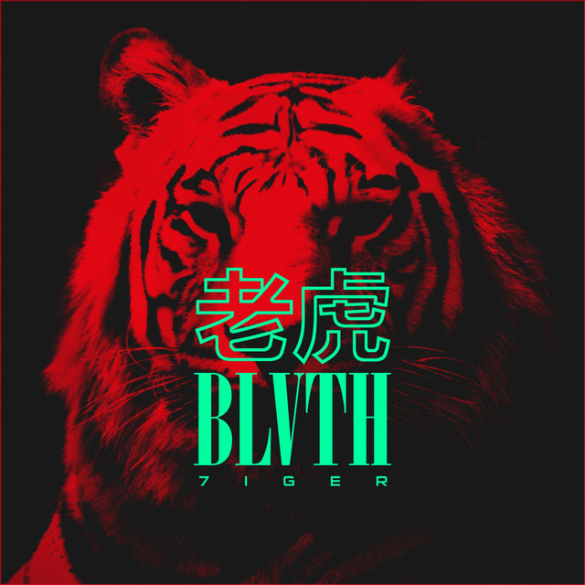 7IGER cover art
