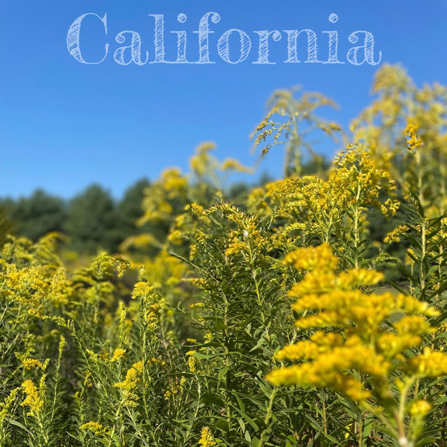 California cover art