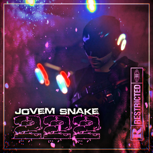 222 cover art