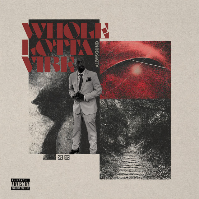 Whole Lotta Vibe cover art