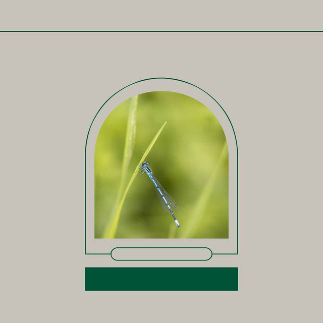 Feelings for Feeling Well cover art