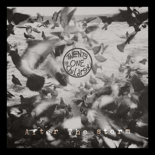 After The Storm cover art