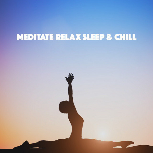 Meditate Relax Sleep & Chill cover art