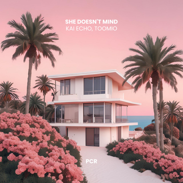 She Doesn't Mind - Toomio Remix