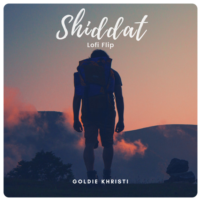 Shiddat - Lofi Flip
