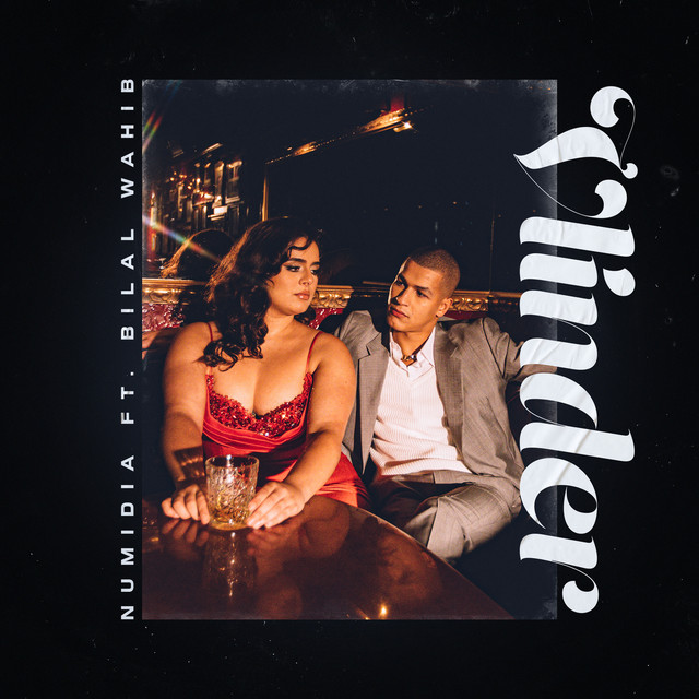 Vlinder cover art